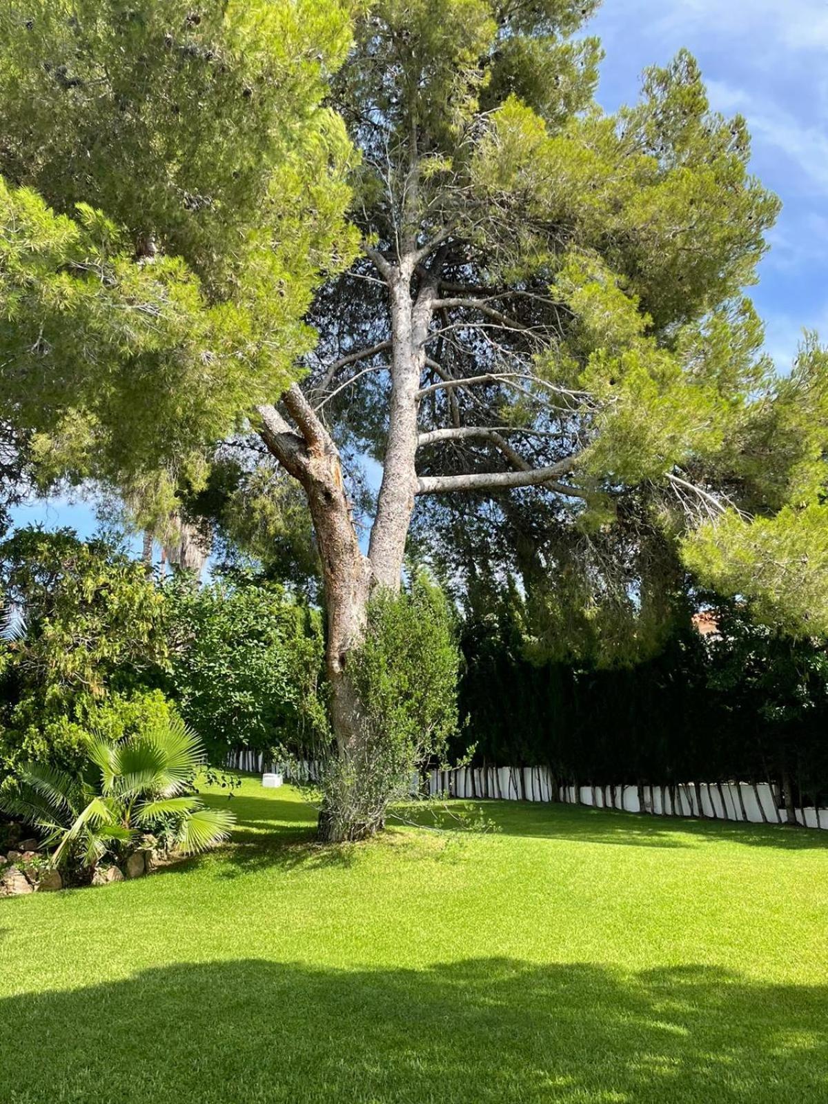 Casa Mediterranea Con Gran Jardin Y Piscina A 500 M De La Playa Roda de Bará Extérieur photo